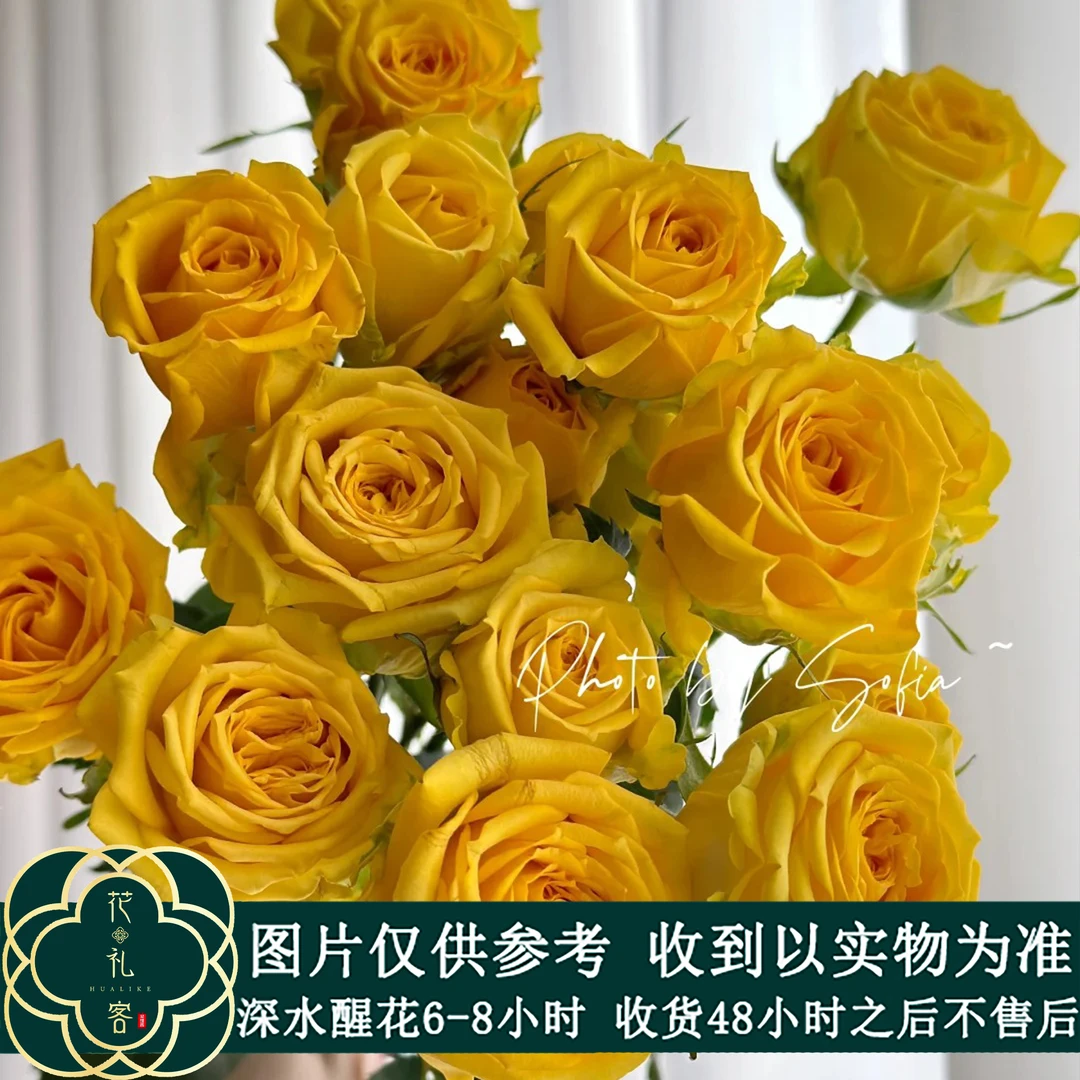 云花巷#多头玫瑰 【婚约】鲜花优选 顺丰直发