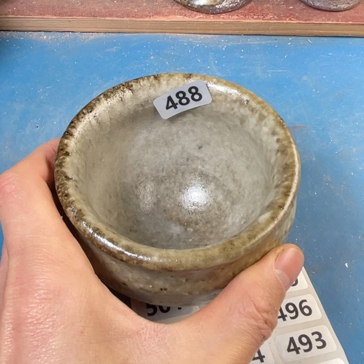 茶宠盏盏灯都是我的爱啊