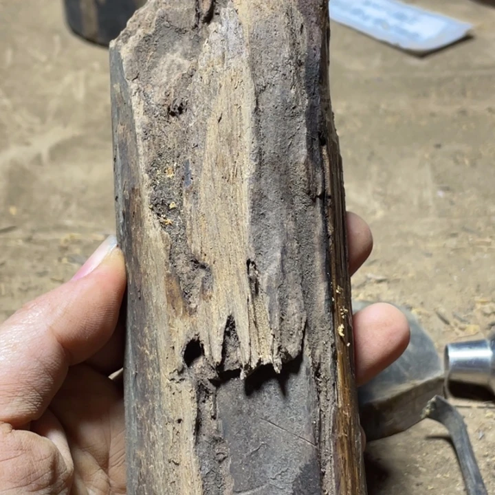 其他贡木天**豹定制产品不退不换