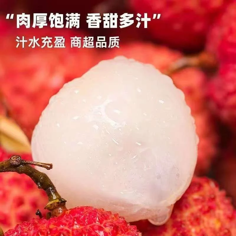 现摘福建乌石荔枝老树果子荔枝当带箱六斤包邮果农自销