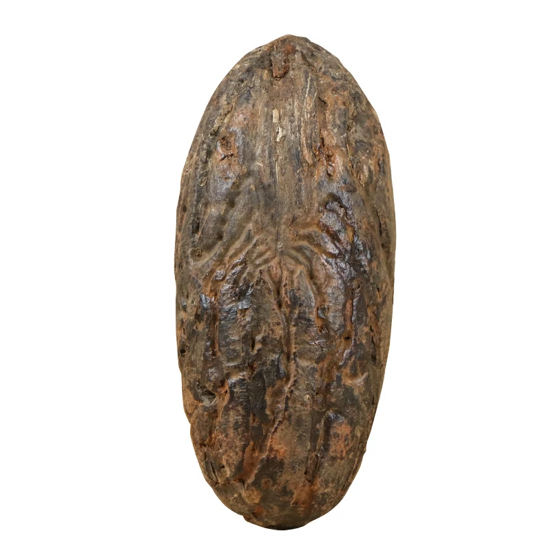 正宗精品千眼菩提果复古果真正品实心文玩手工打磨直播卖货直播间