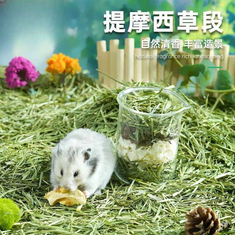 小宠仓鼠提摩西干草垫料夏天除臭吸水木屑无尘四季金丝熊笼子造