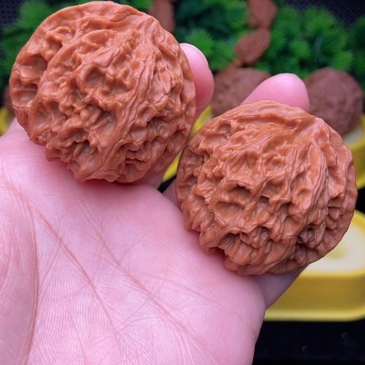 苹果园43全品111111