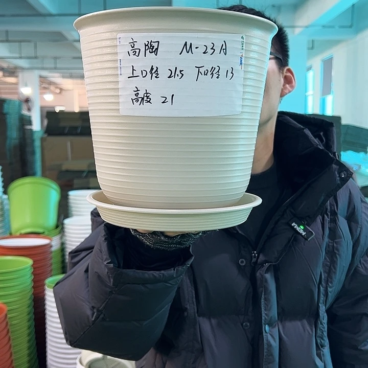 正品高陶口21高21米色无托6只