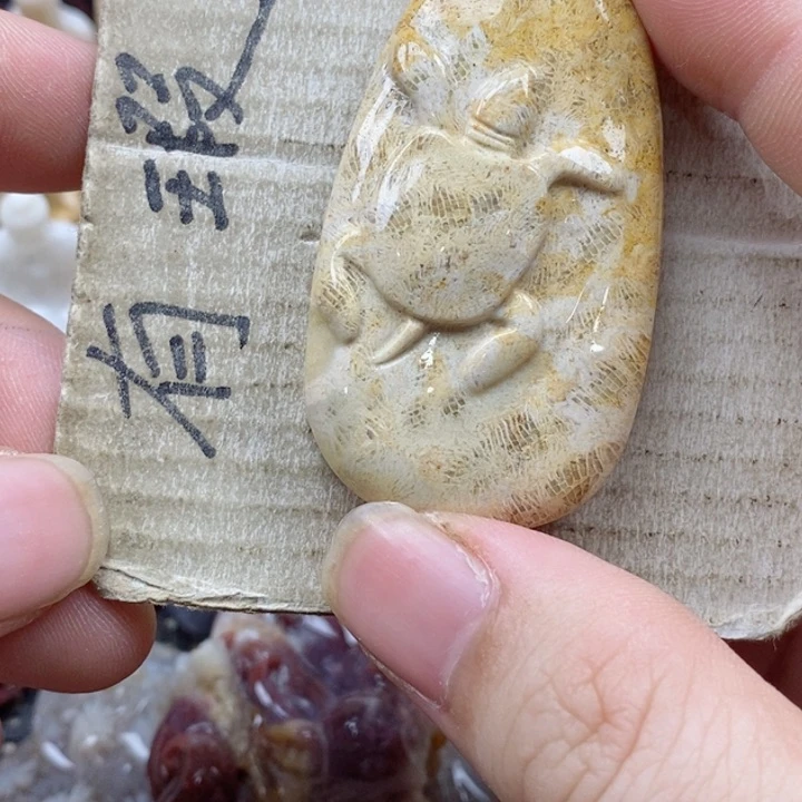 颈饰未镶嵌硅化珊瑚（珊瑚玉）A****y