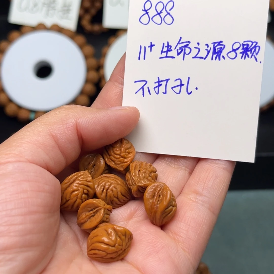 幸***人手串桃核秦岭龙纹桃核11生命之源