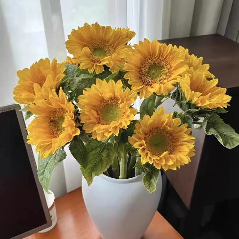 可爱绿心向日葵5支