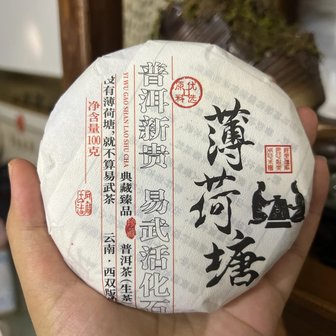 2023年薄荷塘100克生普普洱茶