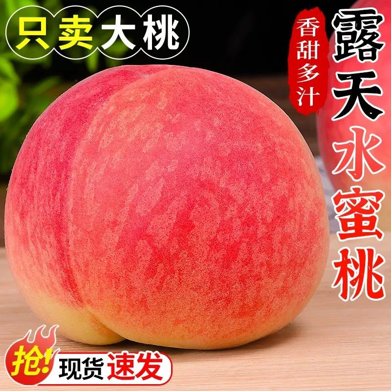 踢球山白凤水蜜桃软糯香甜爆汁可撕皮桃子新鲜采摘顺丰包邮礼盒装