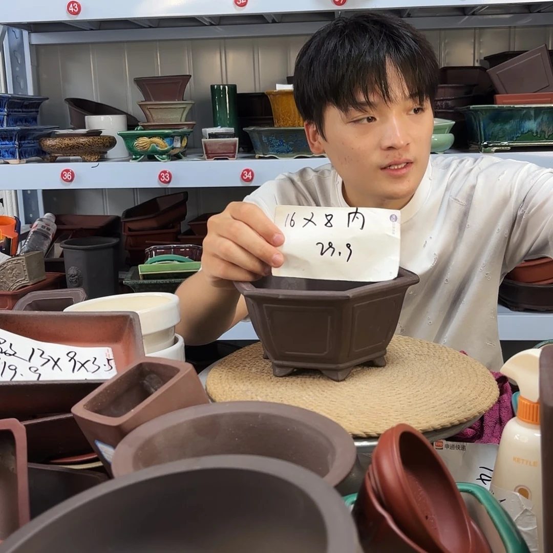 紫砂花盆宜兴紫荆