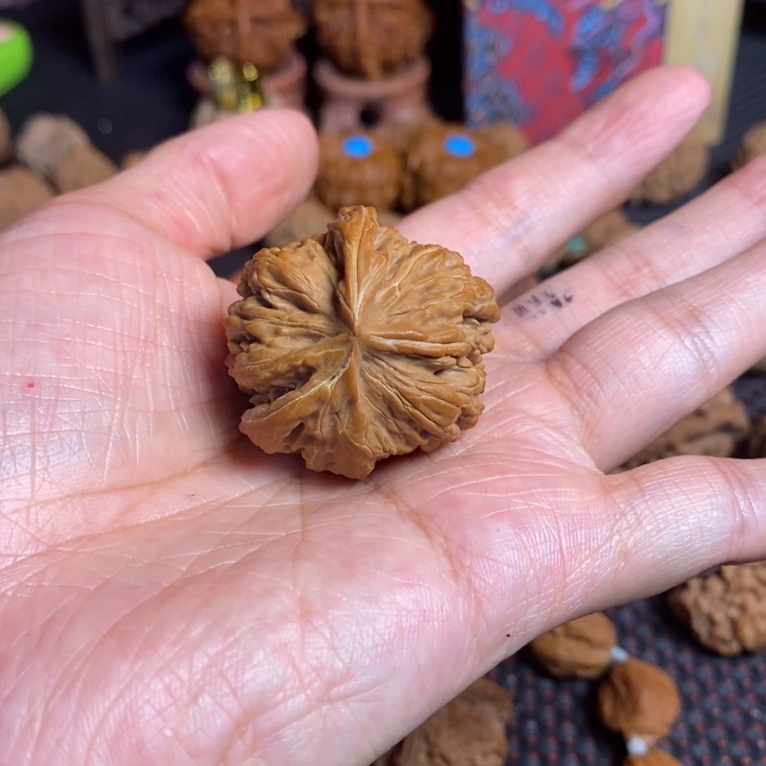 文玩核桃把件少****虾