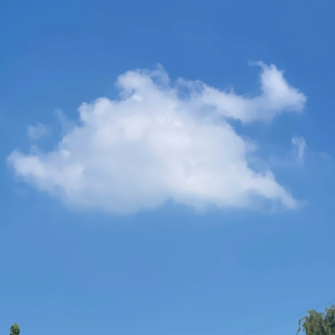 悦兰堂兰花蕙兰春兰直播间福袋