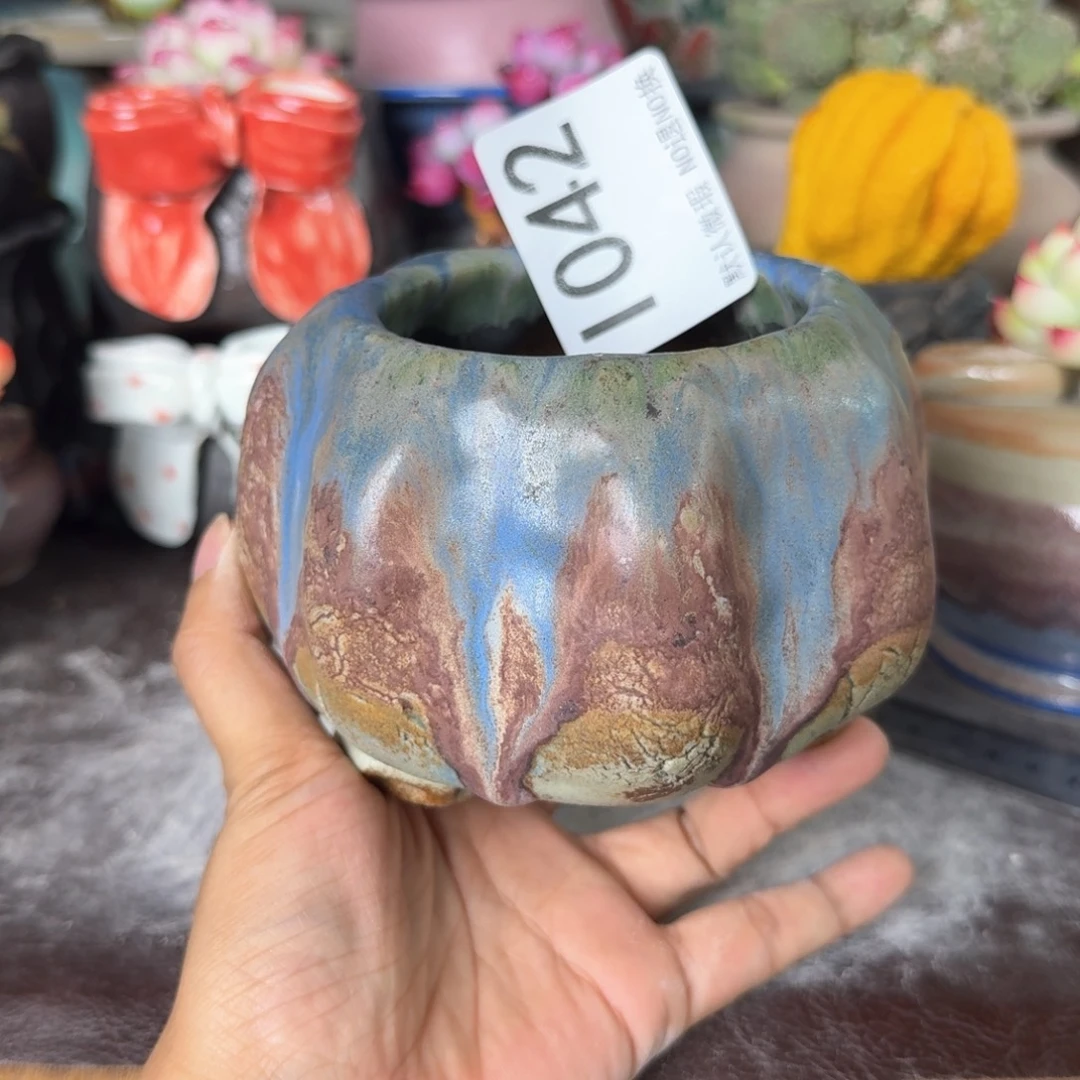 重庆小燕子欢迎大家042