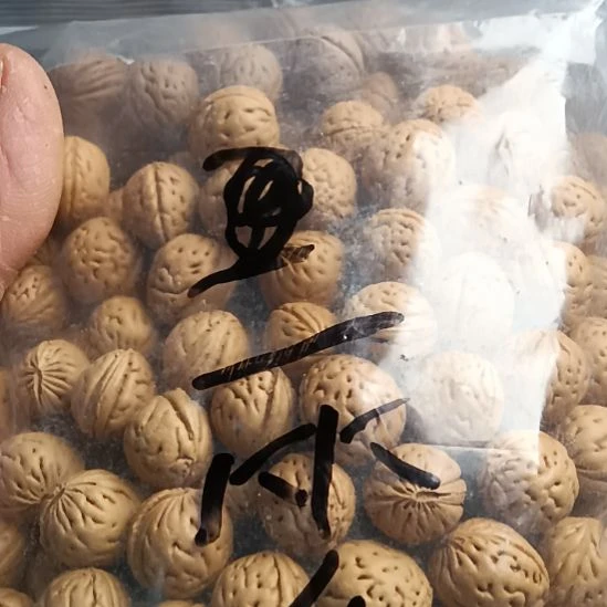 一***笑桃核手串伏牛山脉野生山桃核