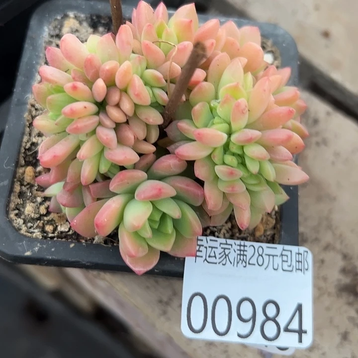 幸运的是我还没遇到过