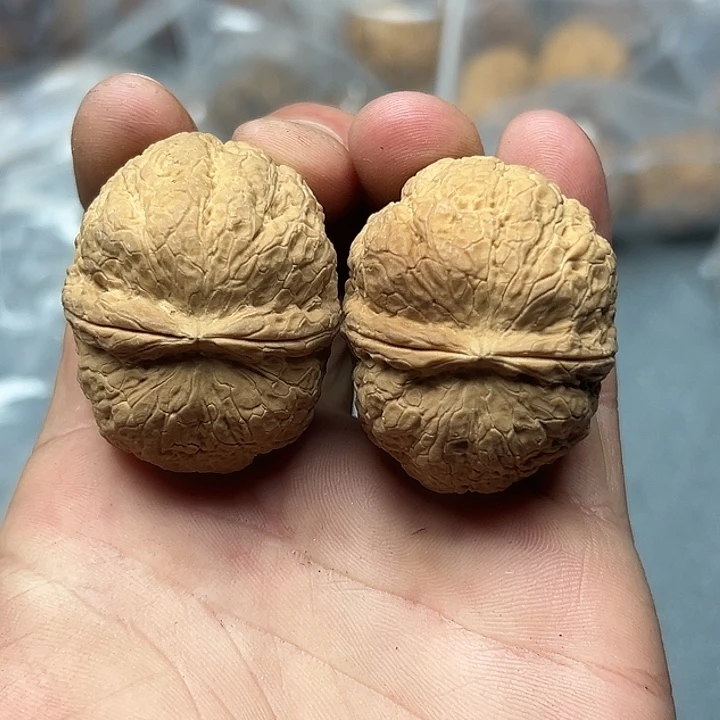 把件文玩核桃69号粗筋元宝