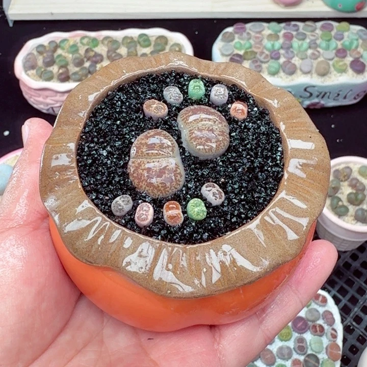 504零下地区记得拍保温箱