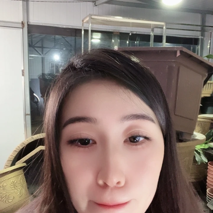 圆40口径花盆一个