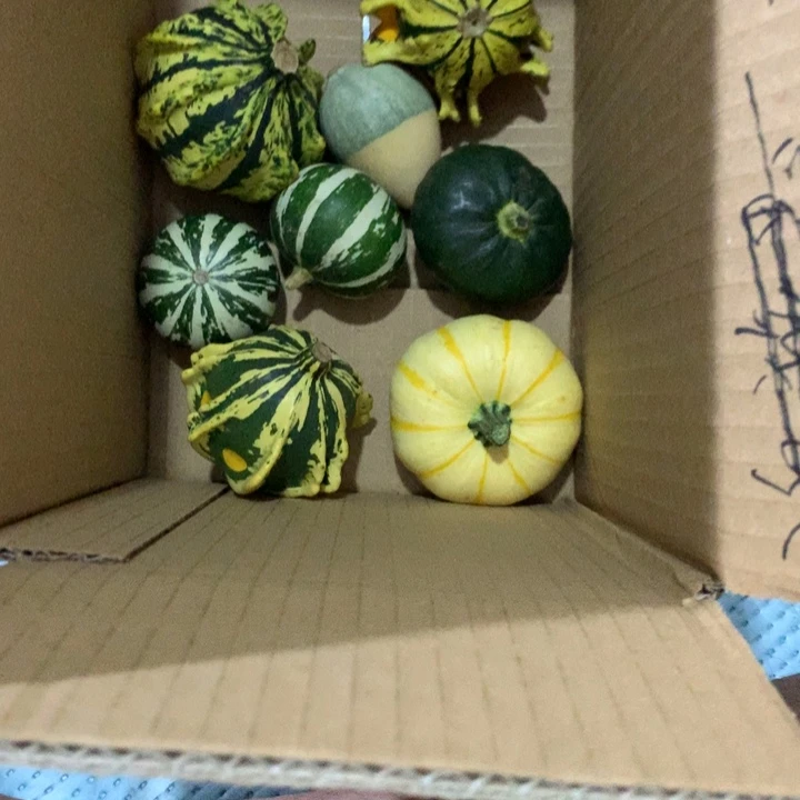 王*外墨西哥！墨西哥！墨西哥