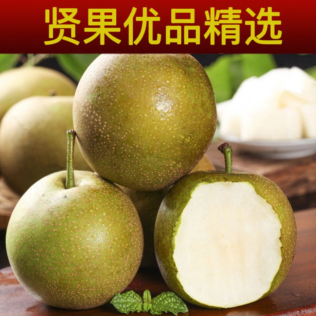 苏州翠冠梨黄花梨10斤现摘现发脆甜多汁皮薄肉嫩水润细腻