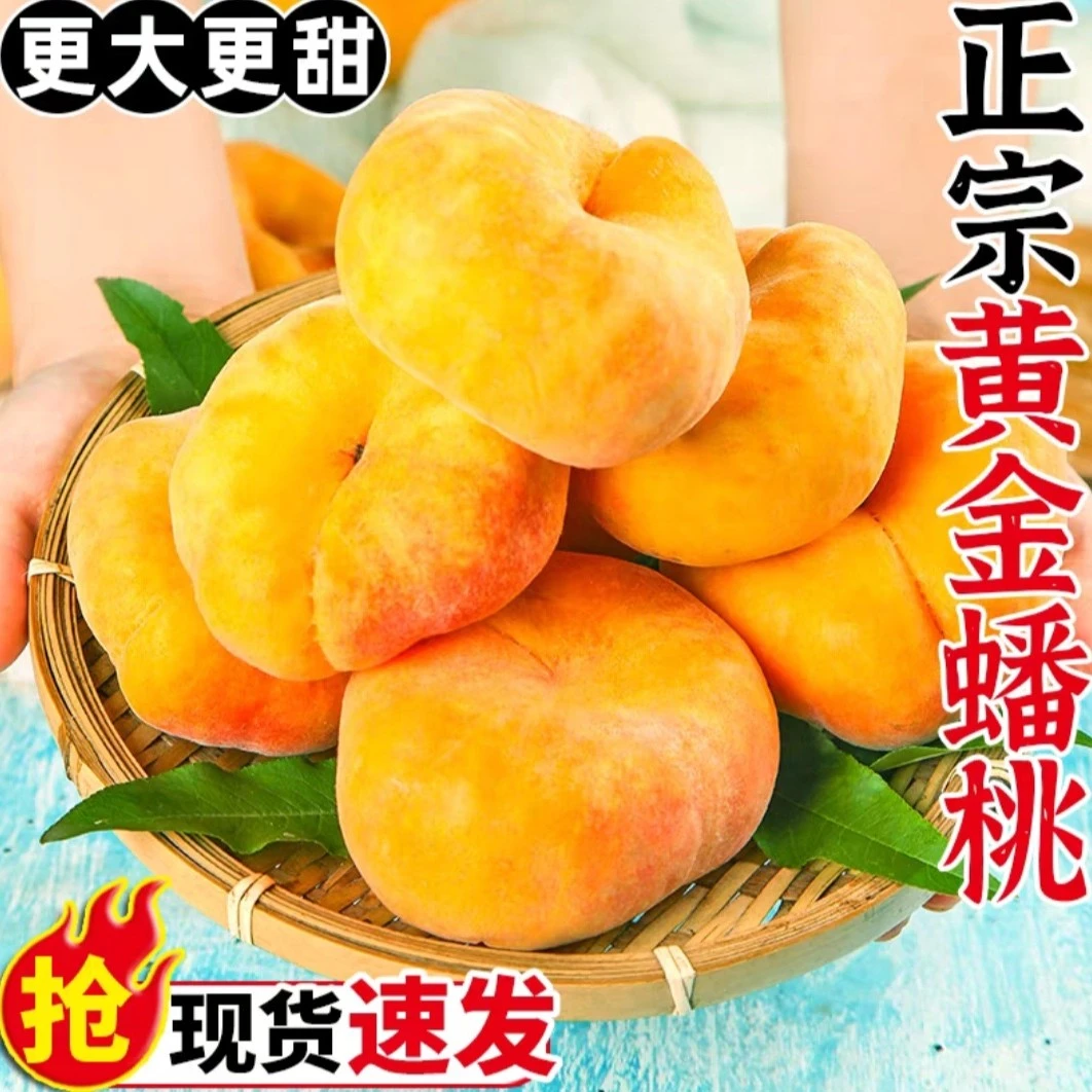 山东蒙阴彩虹黄金毛蟠桃香甜软糯新鲜采摘软糯爆汁