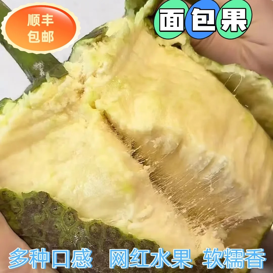 顺丰包邮海南面包果新鲜高山采摘稀有当季热带水果