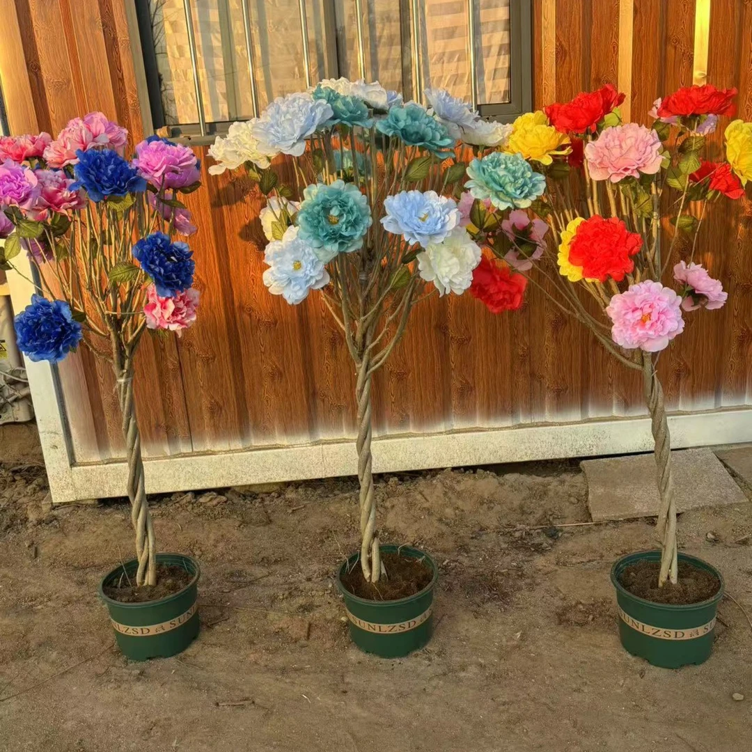 【重瓣】一树编织多种颜色牡丹花木槿抗寒露天培育不怕冻南北方种植