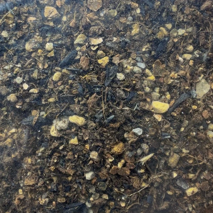 土土土土土土土土