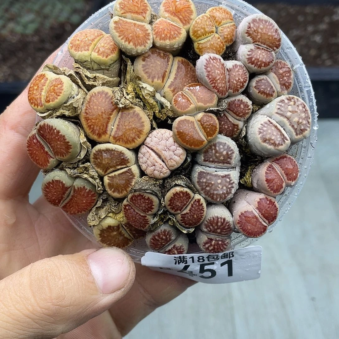 当天凑满十八元包邮451