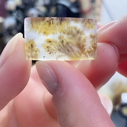 玛瑙/玉髓珠宝奇石未镶嵌