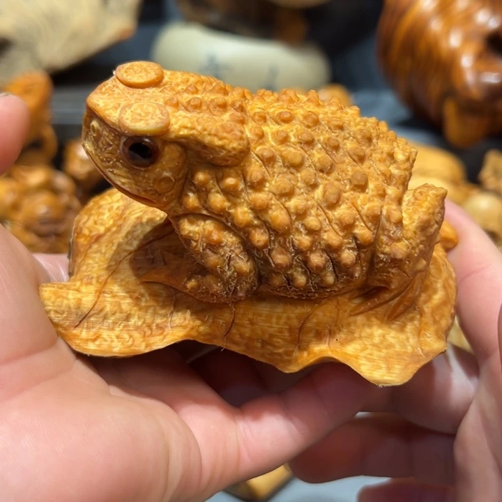 柏木（崖柏）点点关注，感谢分享