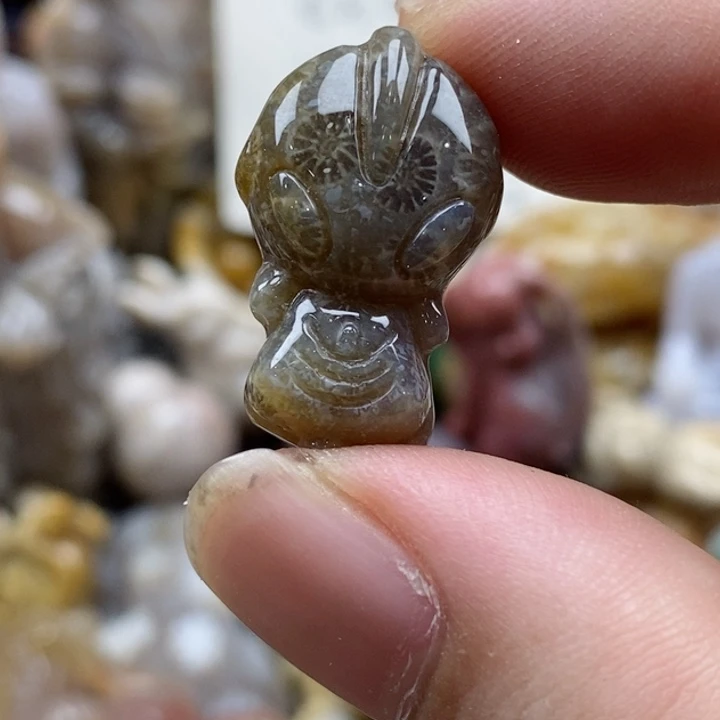 硅化珊瑚（珊瑚玉）未镶嵌颈饰小吊坠