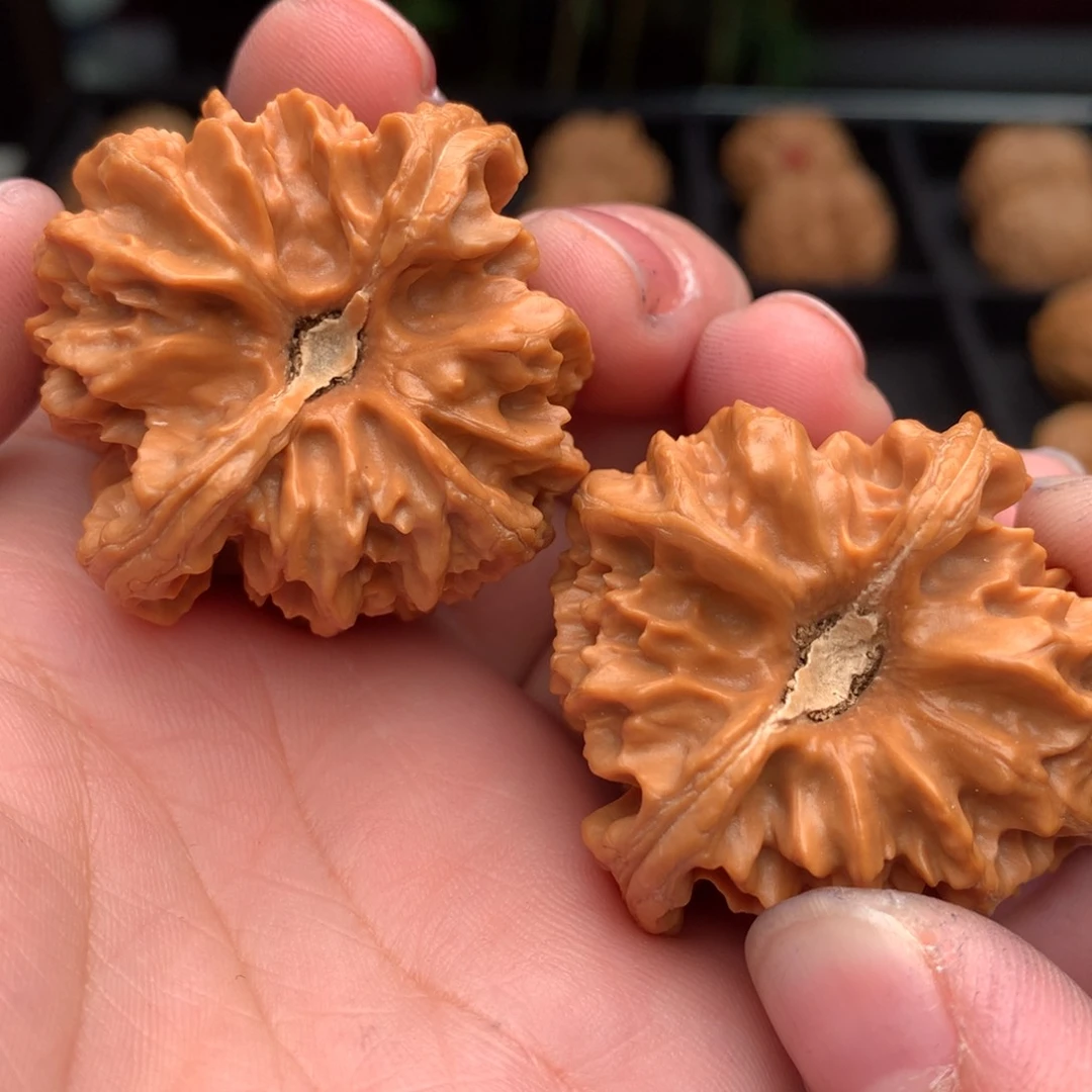 文玩核桃把件快***人41曹大龙…….