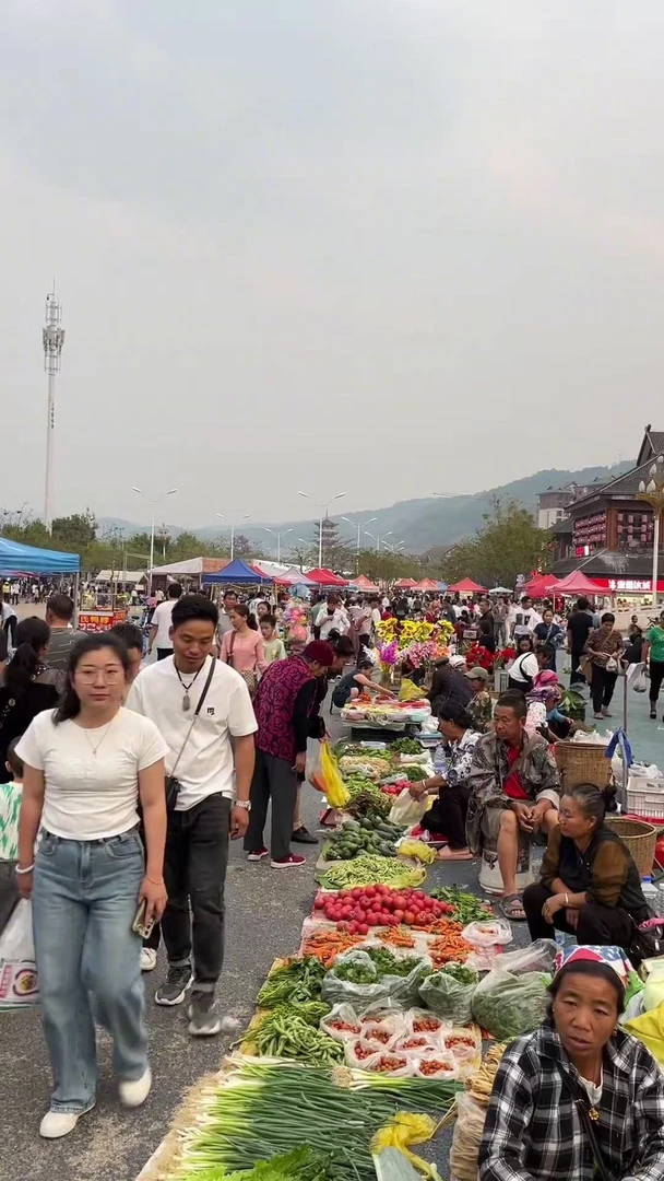 【小翠助农收山货】全当归  精选好货 一单也包邮