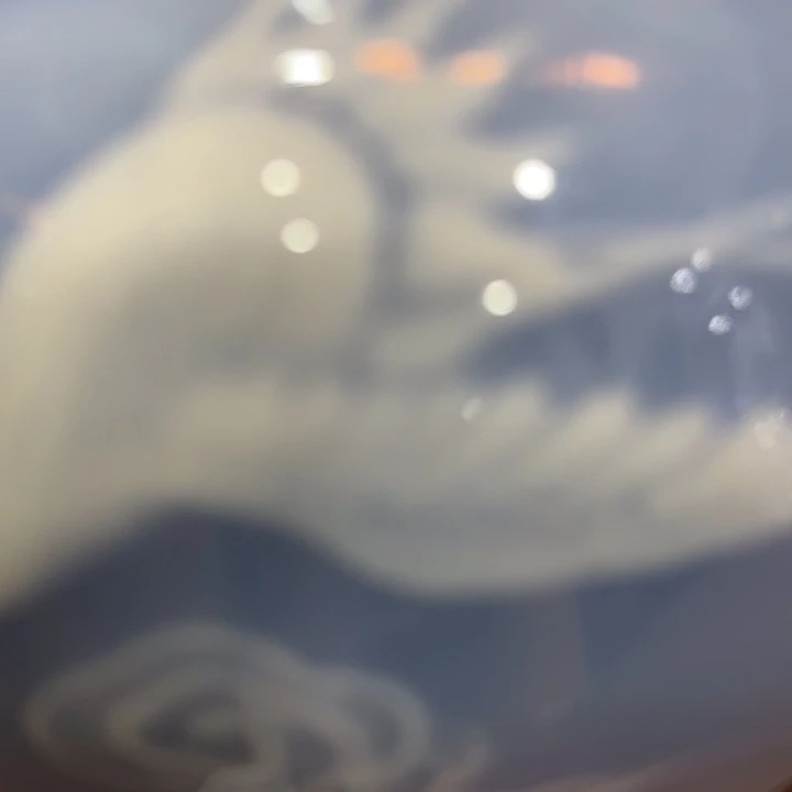 ****哈哈哈哈哈哈哈哈哈