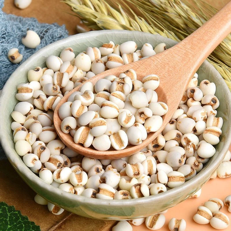 薏米仁精选贵州新鲜大薏仁米可煮粥泡水正宗五谷杂粮