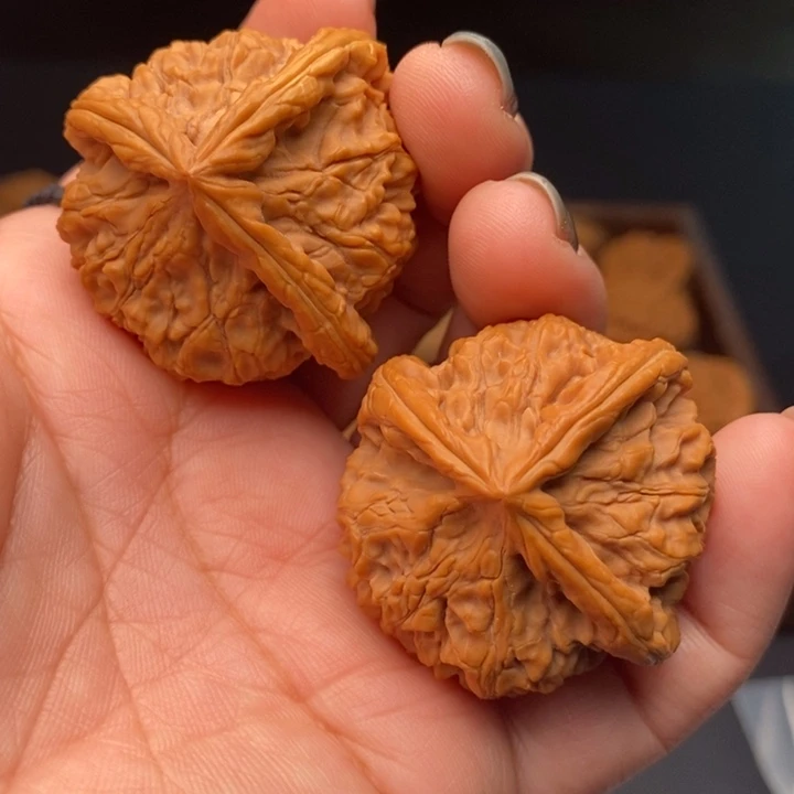 核桃龙爪三棱39尺核桃