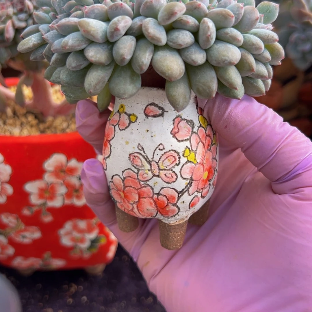 新年快乐 新年快乐 新年快乐