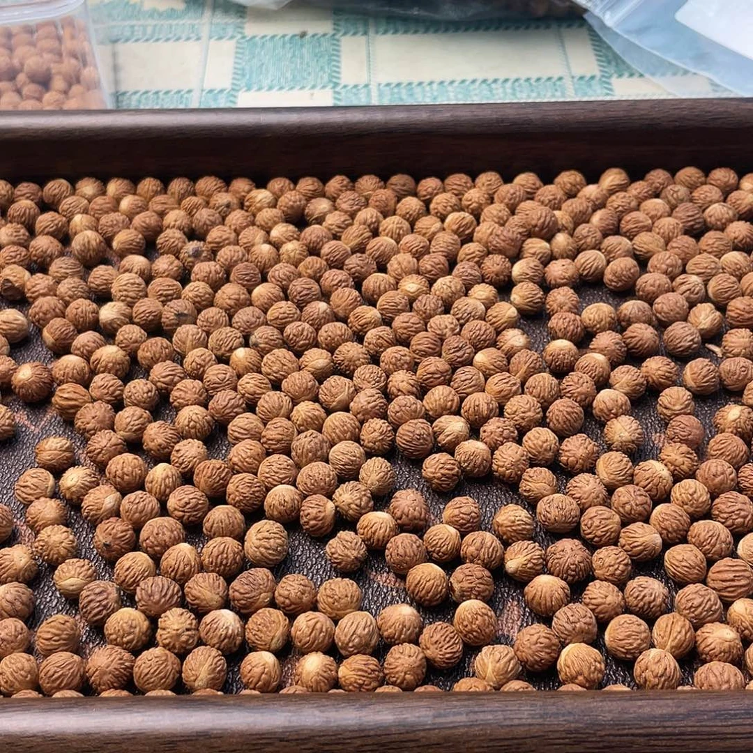 心***妮同树卡八打孔50颗
