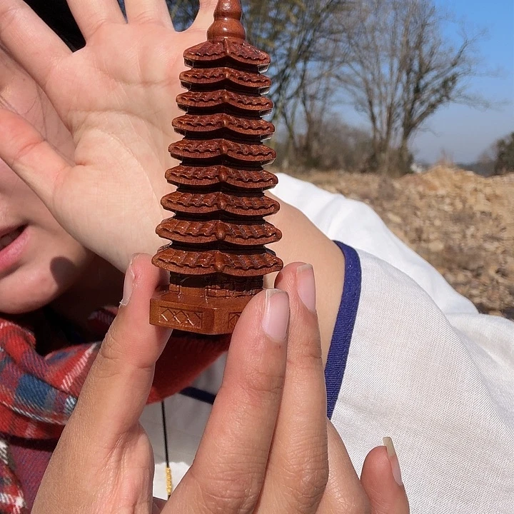 龙虎山屿师兄文昌塔中