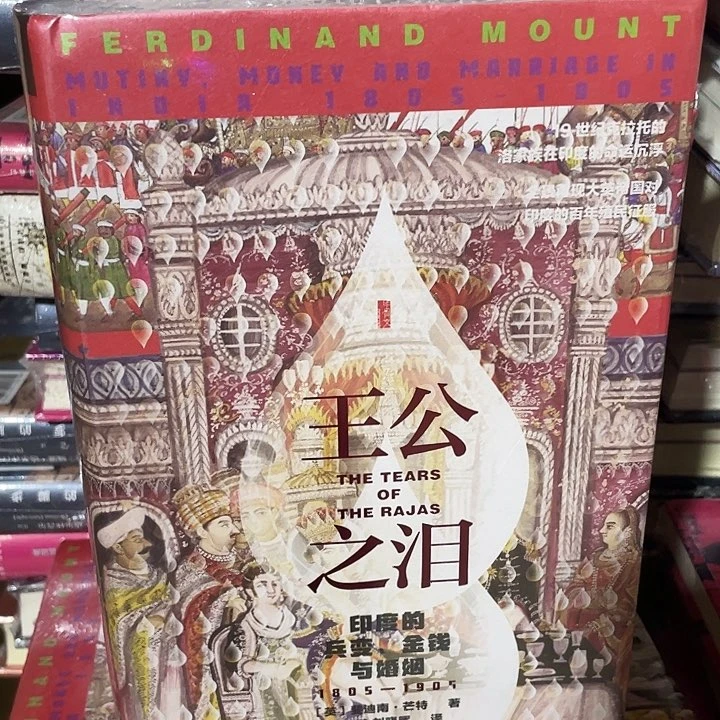 王公之泪：微瑕图书系列