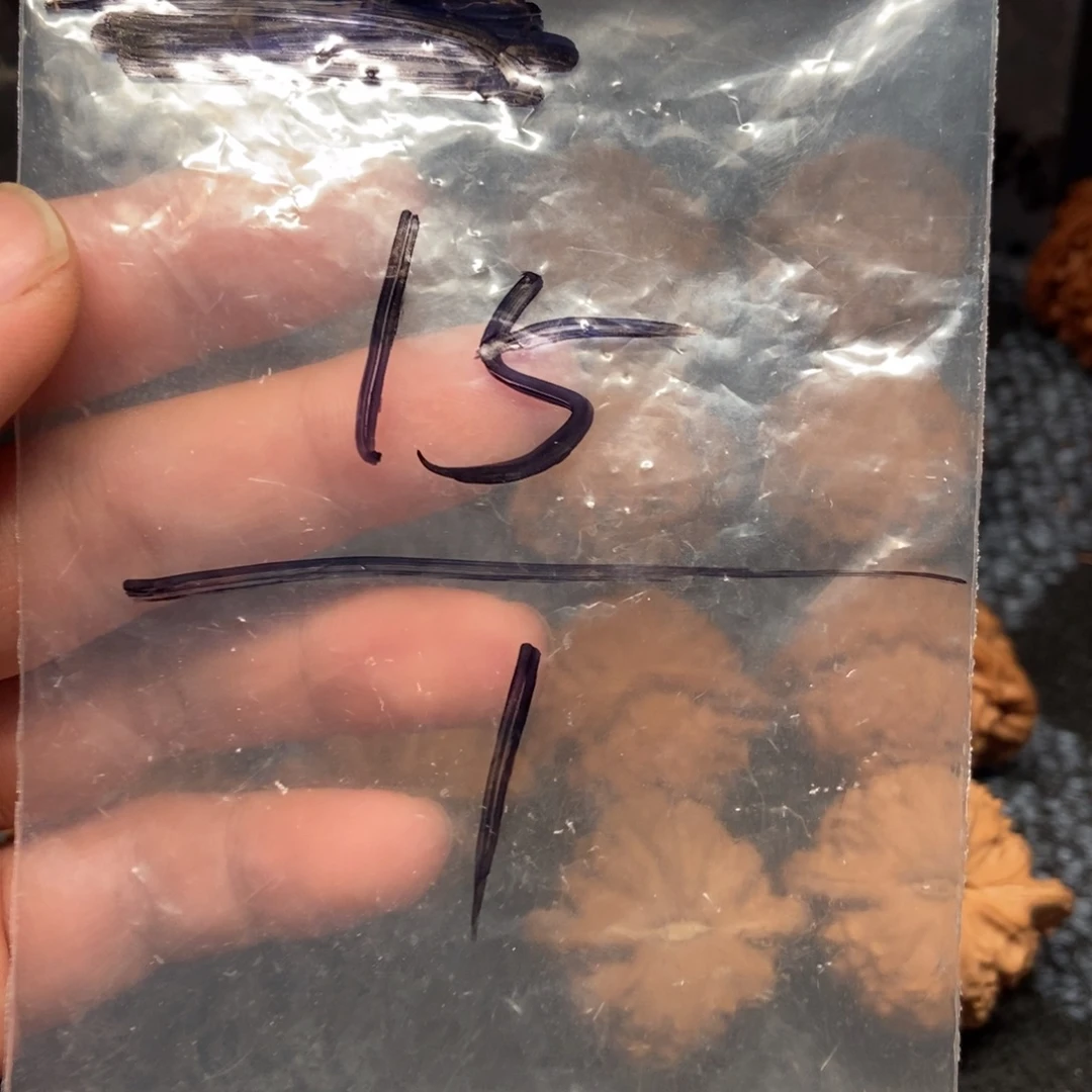 巖***林文玩核桃把件福利1