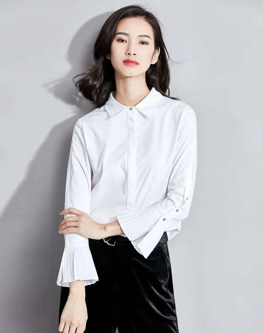 薛姐   职业女长袖衬衫001-199