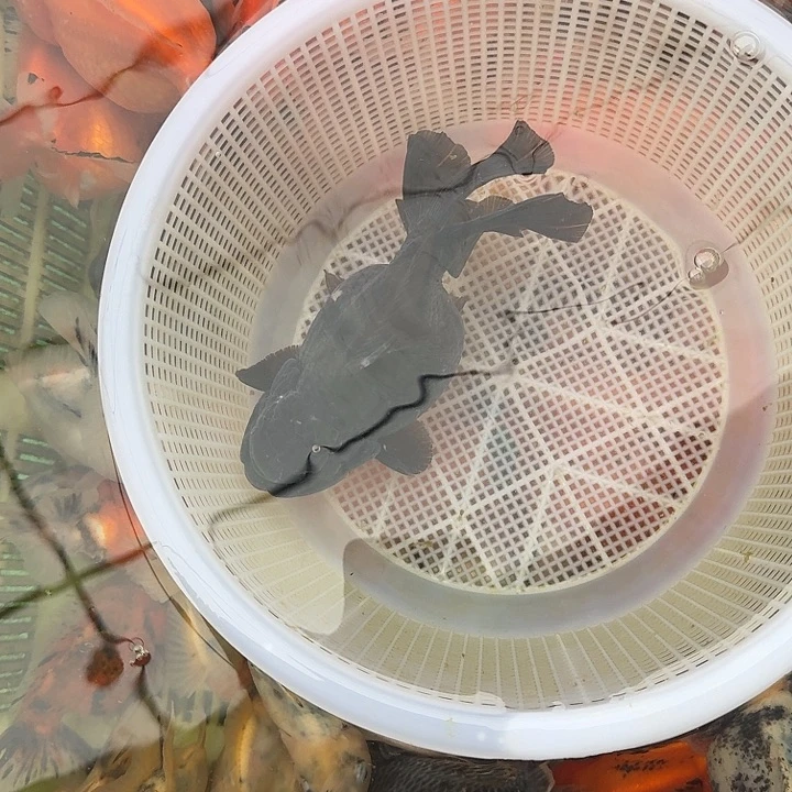 140包邮到家嘿嘿嘿嘿嘿嘿嘿嘿