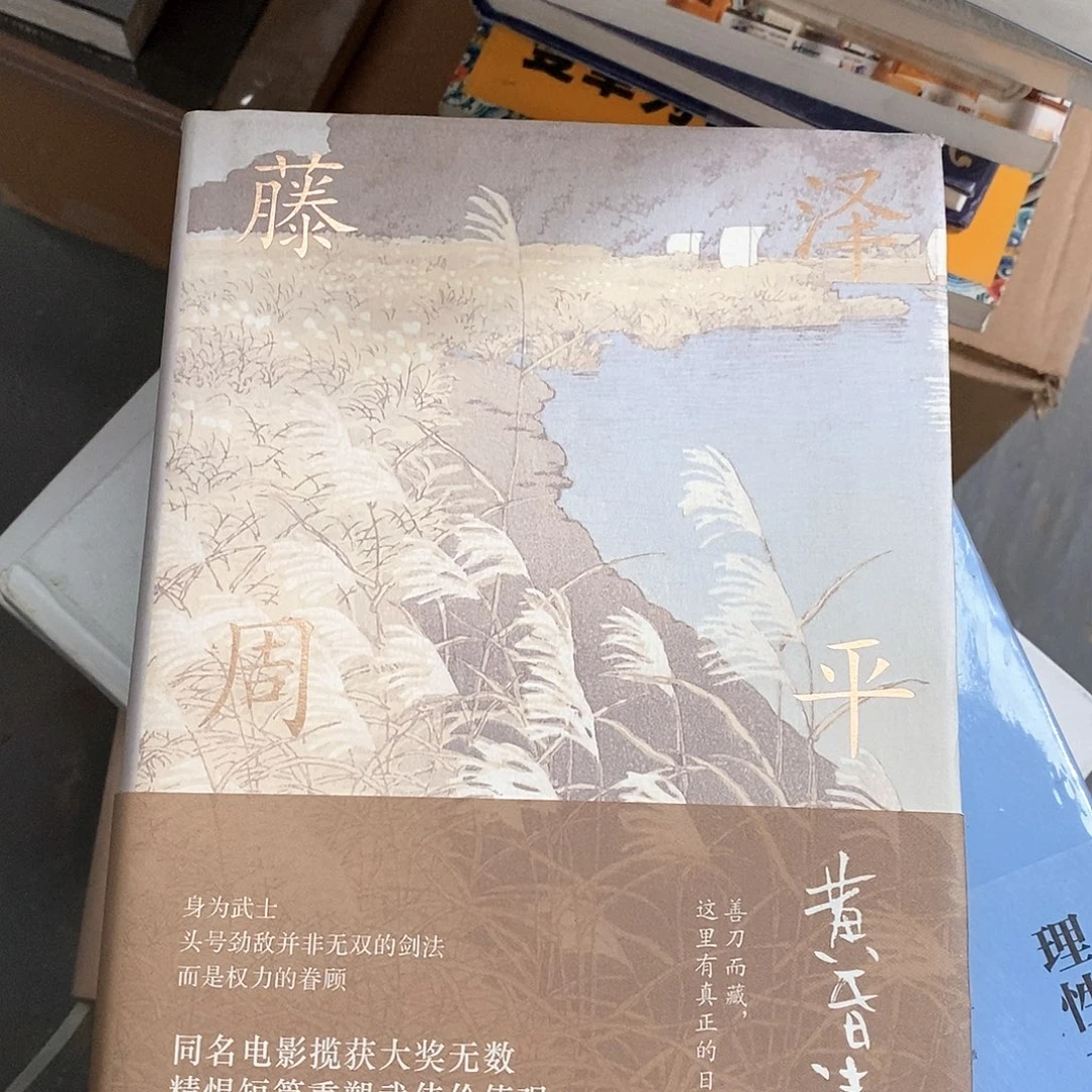 微瑕   黄昏清卫……