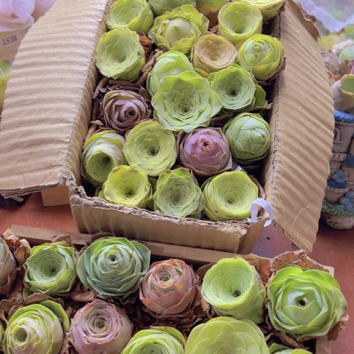 保底32颗888888888