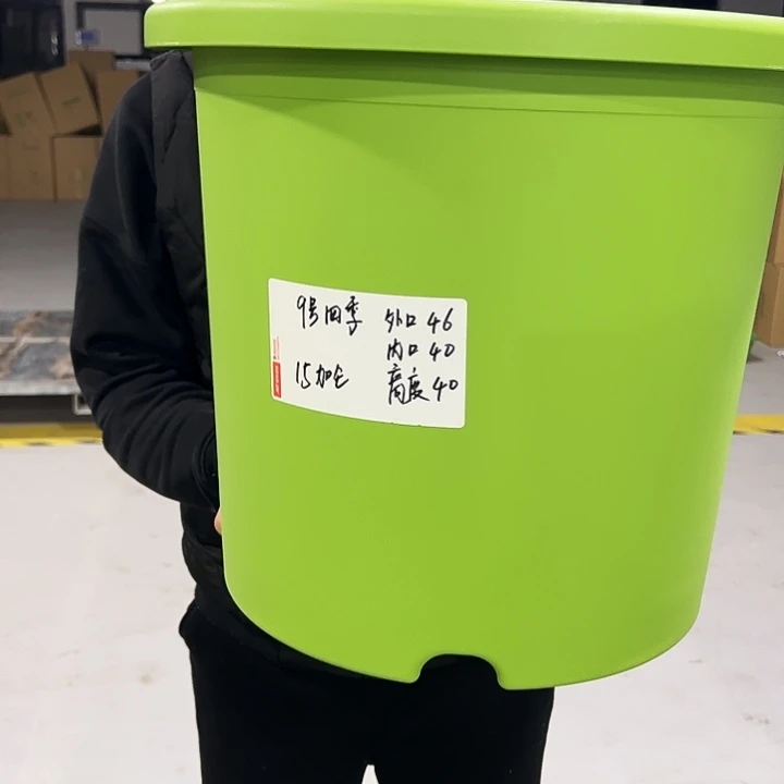 特价9号口46高40果绿色4只无托