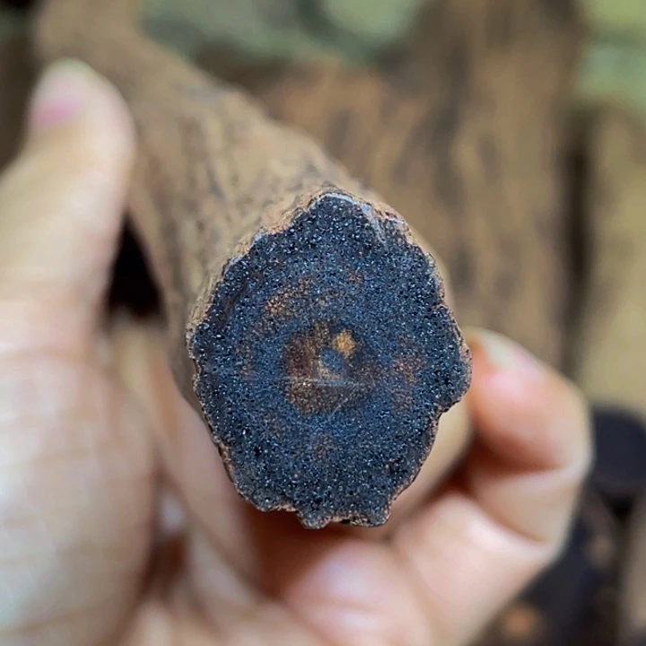 降真香定制缅甸小叶降真香