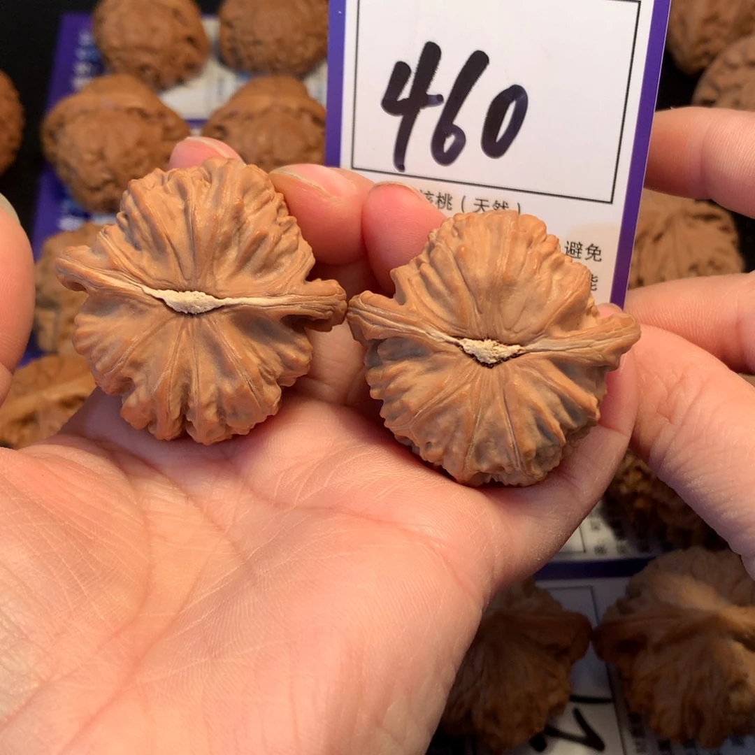 核桃460白狮子4.3全品