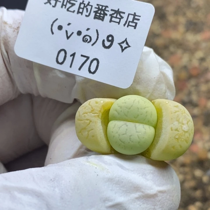 哒***?0170。零下拍保温.18包邮.当天凑哦